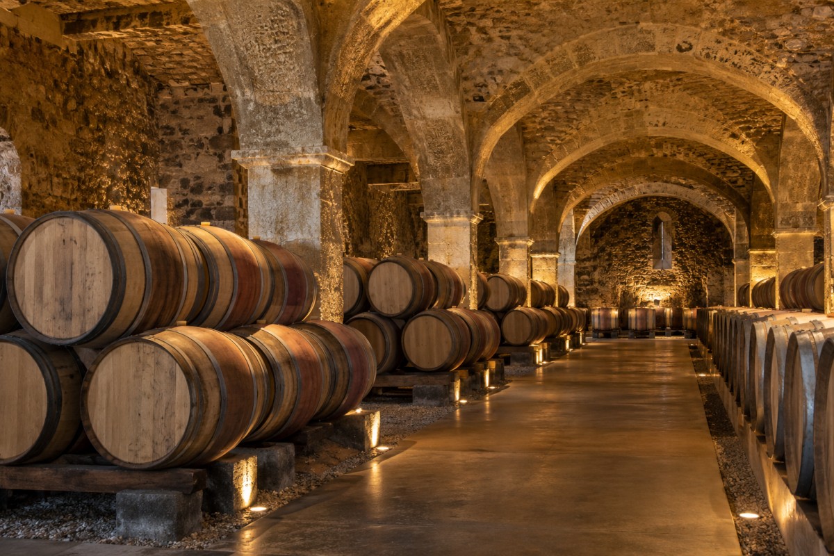 Wine cellar prepared for visitor tours